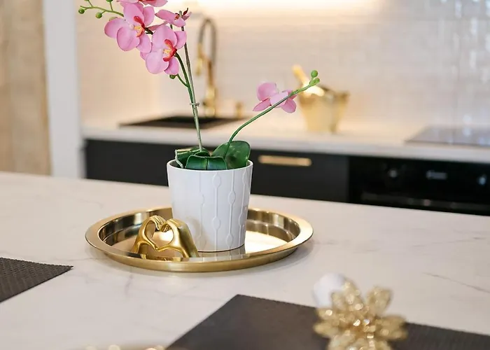 Elizabeth 비오그라드나모루